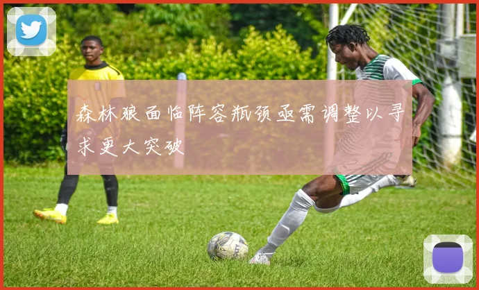 森林狼面临阵容瓶颈亟需调整以寻求更大突破